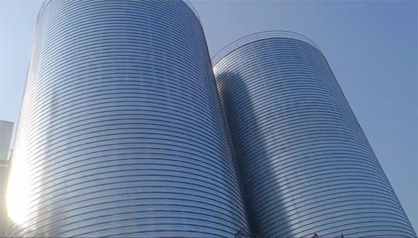 恩平2座混凝土高架卷板仓